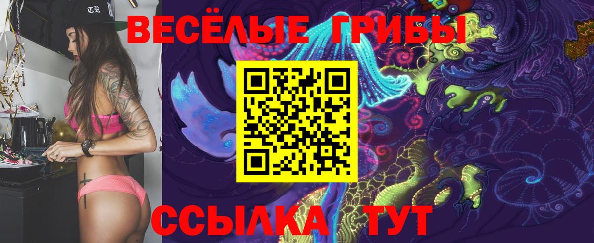Псилоцибиновые грибы Psilocybe  Вход с VPN  Карпинск 
